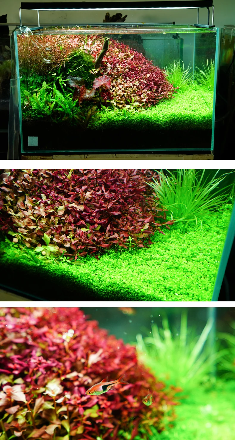 Smart Freshwater Planted Spectrum Shade Chihiros WRGB 2 LED Aquarium Light 30CM 45CM 60CM 90CM 120CM