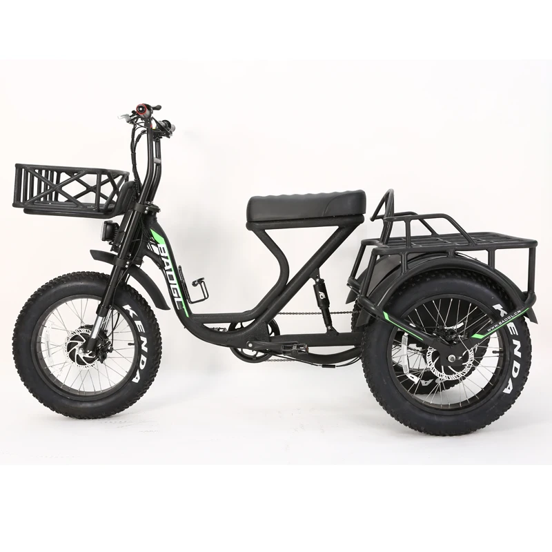 2024 Newest Electric Tricycle Long Driving Range 2 Motors 2 Battery Electric Three Fat Wheel Cargo Bike