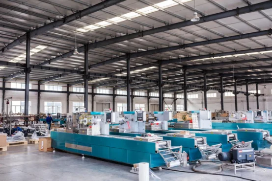 Automatic thermoforming Vacuum Packaging Machine for crab meat stick