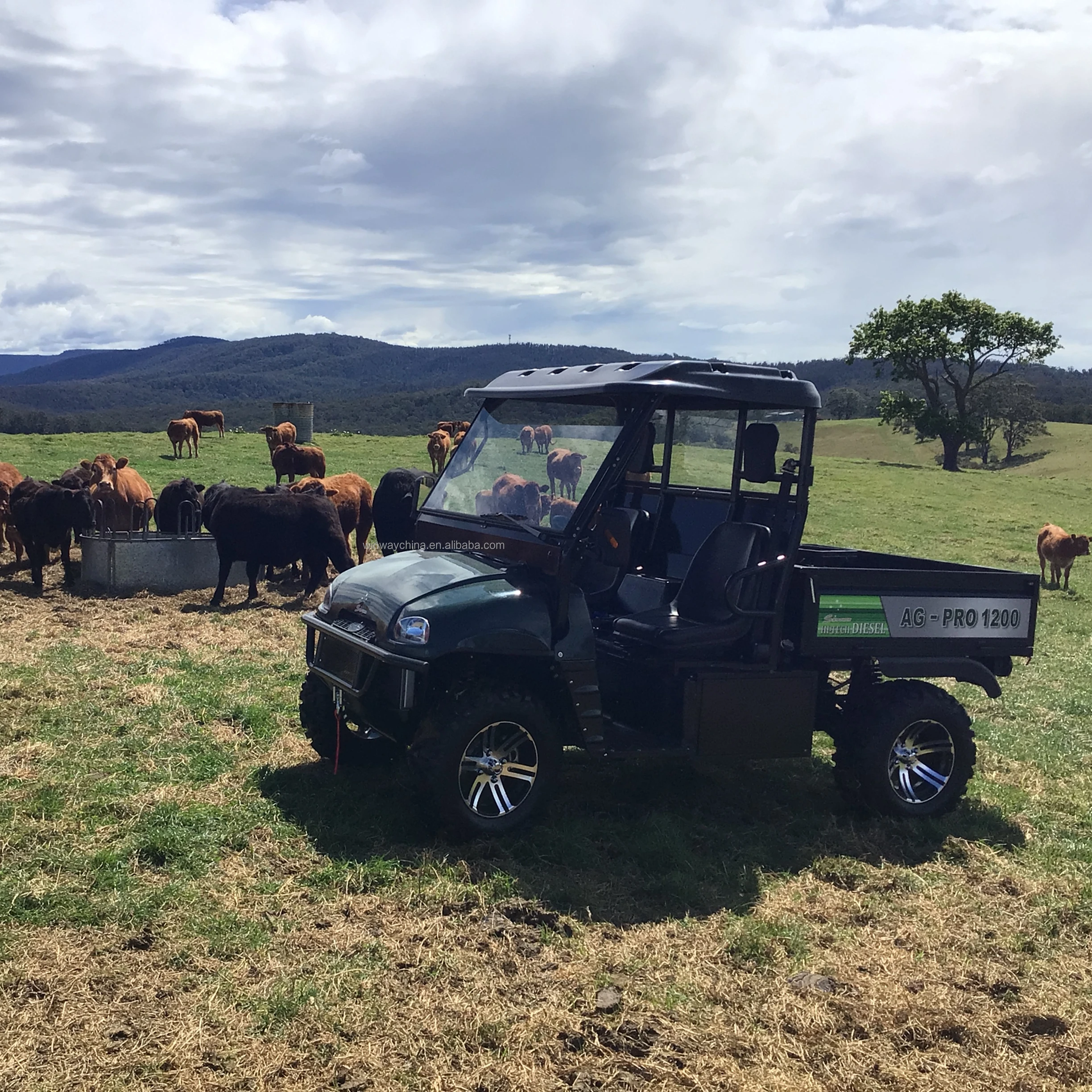 FARMBOSS 1200 diesel utv 4wd 2 years warranty farm UTV