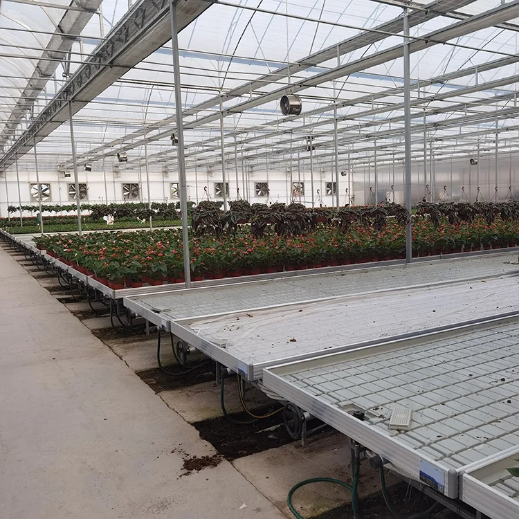 Medical Plants Mobile Growing Rack Multiple Tier Hydroponic Vertical Grow Rack