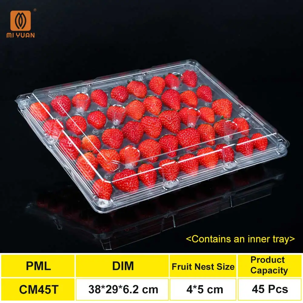 Premium Transparent Food Grade PET Plastic Disposable Packaging Box Container Chocolate Strawberry Fruit Tray with Lid