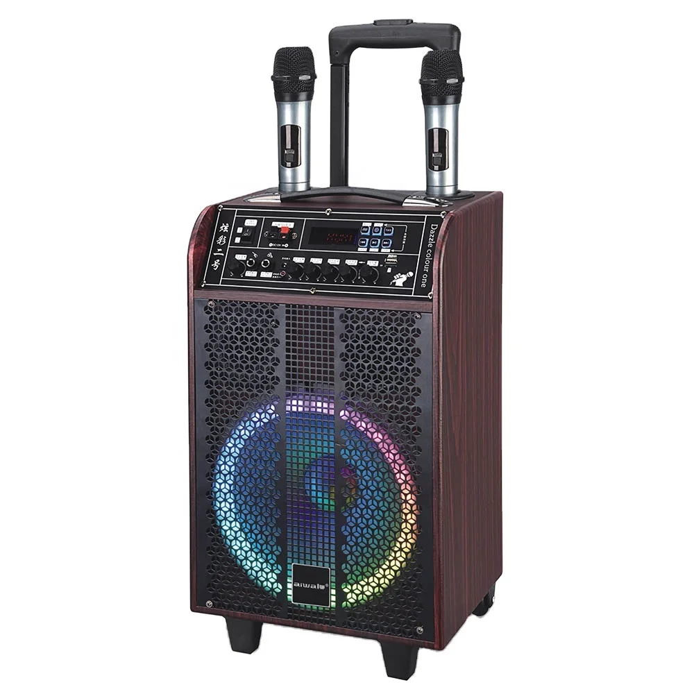 China Manufacturer 10 inch High Quality hifi professional karaoke outdoor portable trolley speaker with led light