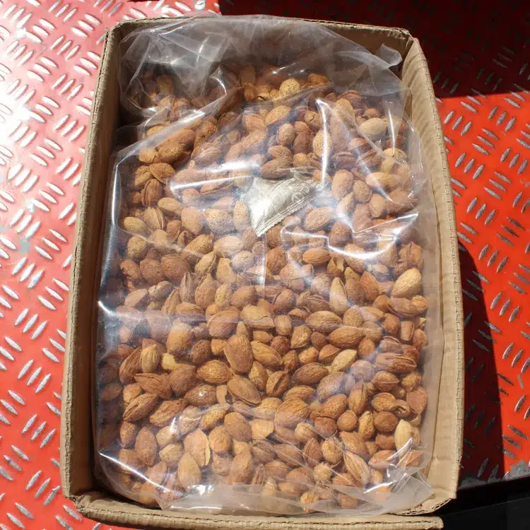 GEKO Best Selling Roasted and Salted Dried California Almond for Mixed Nuts
