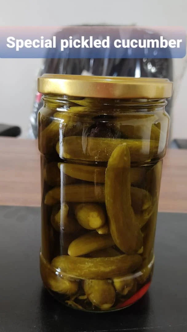 Wholesale Factory Direct Supply First Grade/Premium Pickled Cucumber - High Quality Salted Grapevine Leaves in Jar