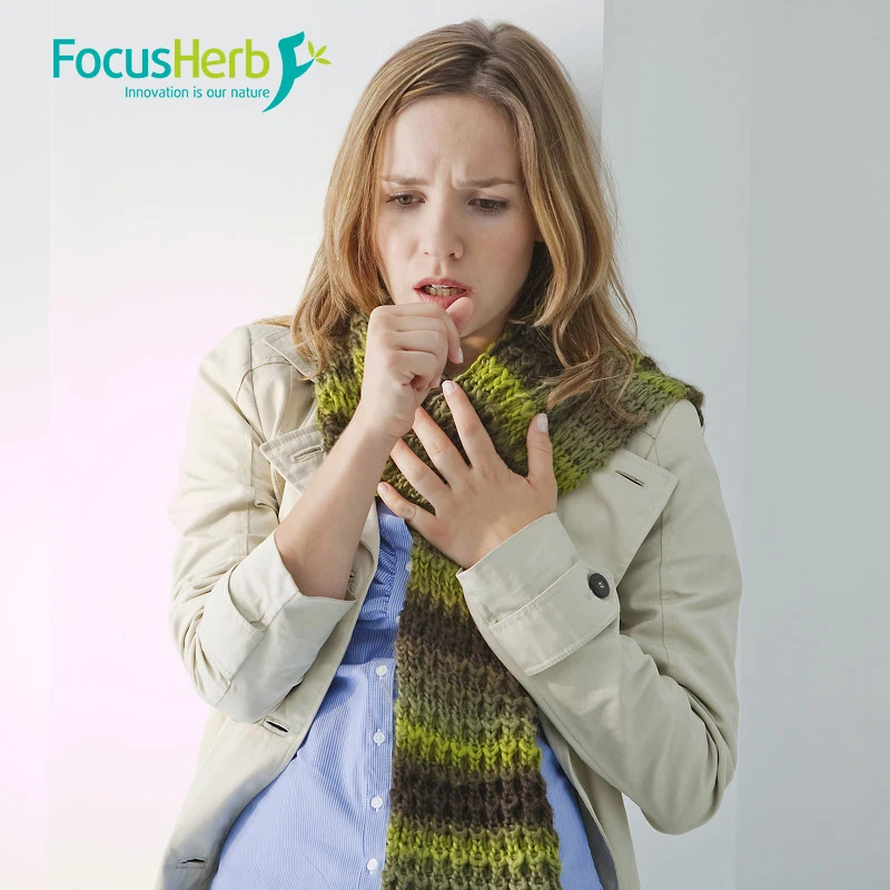 
FocusHerb Organic Mogroside V 50% Momordica Grosvenori Extract monk fruit extract mogroside 