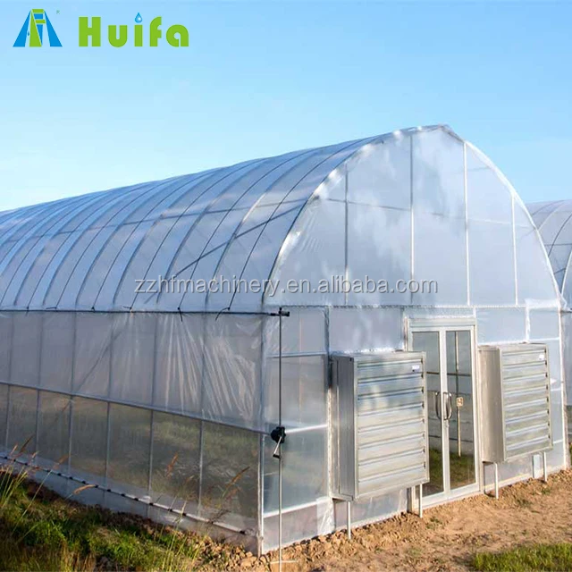 Economical Plastic Vegetable Tunnel Greenhouse For Sale