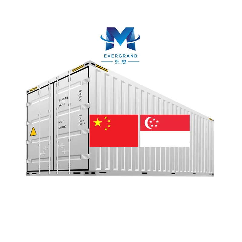 Cheaper Reliable 20GP container freight forwarder China to Singapore shipping agent Logistics services