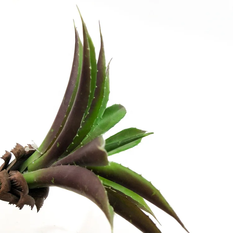 Sale Indoor Decoration PE Little aloe vera realistic Artificial succulents plants