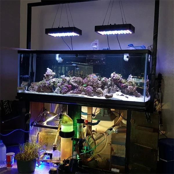 Hot sale  APP control 165w coral reef WIFI aquarium light