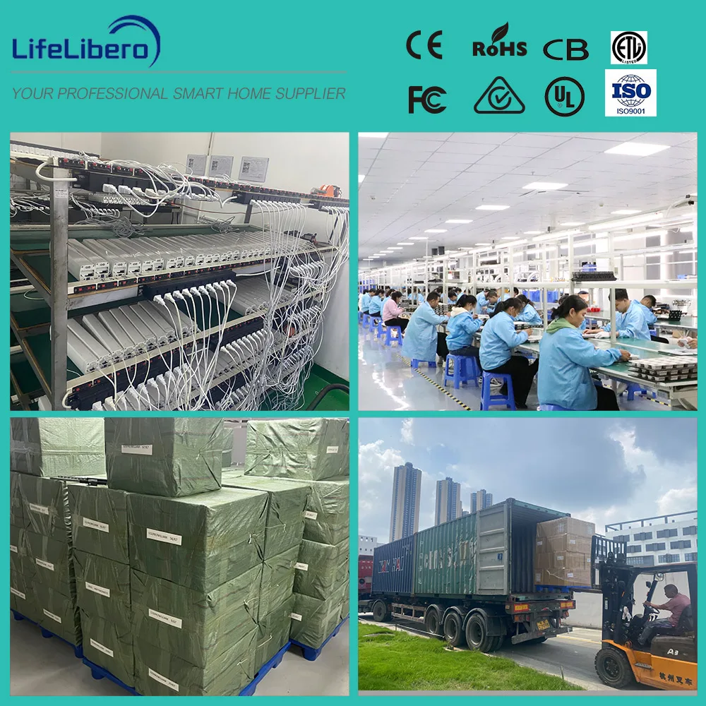 Lifelibero Tuya App Timer Control Wifi Smart Chain Window Opener Automatic Curtain Motor For Smart Home System