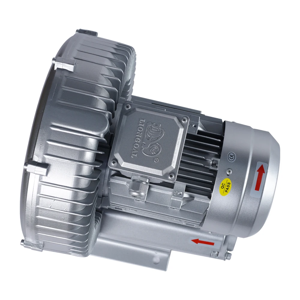 Long Service Time Stable Quality Low Noise Three Phase 1.6kw Swimming Pool Turbo Air Fan Blower Spa