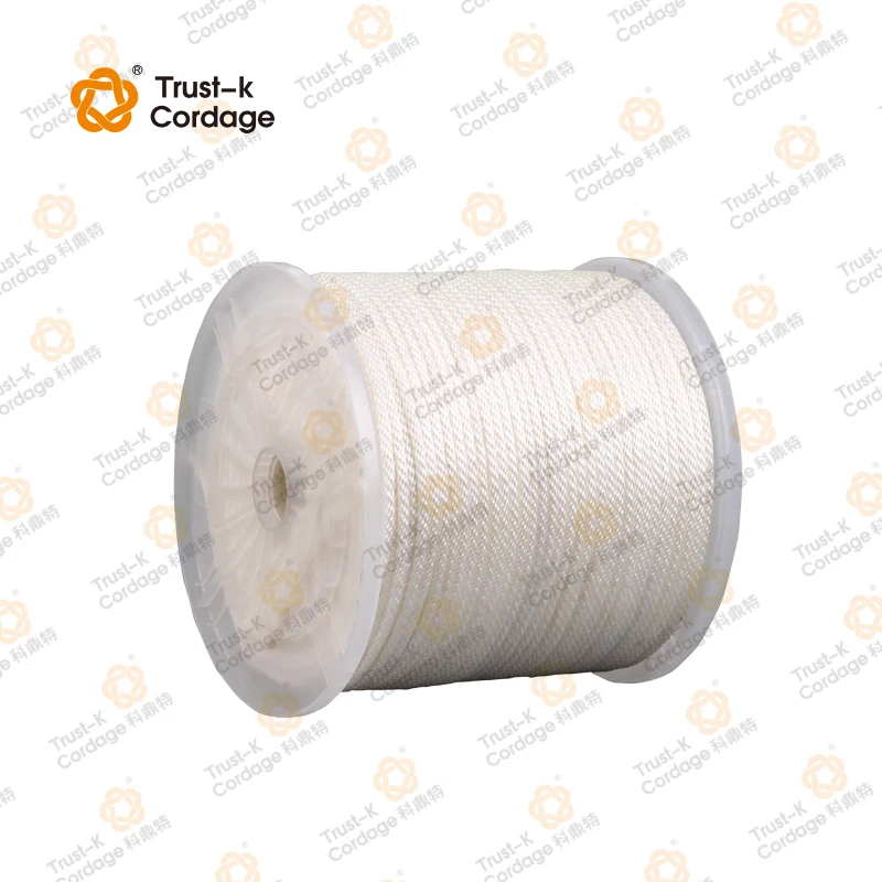 100% Raw Polyester PP  braided solid braid utility rope For Horse