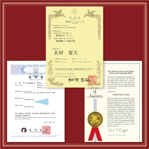 Senseiro Agaricus extract natural benefit health and wellness products for boost immunity