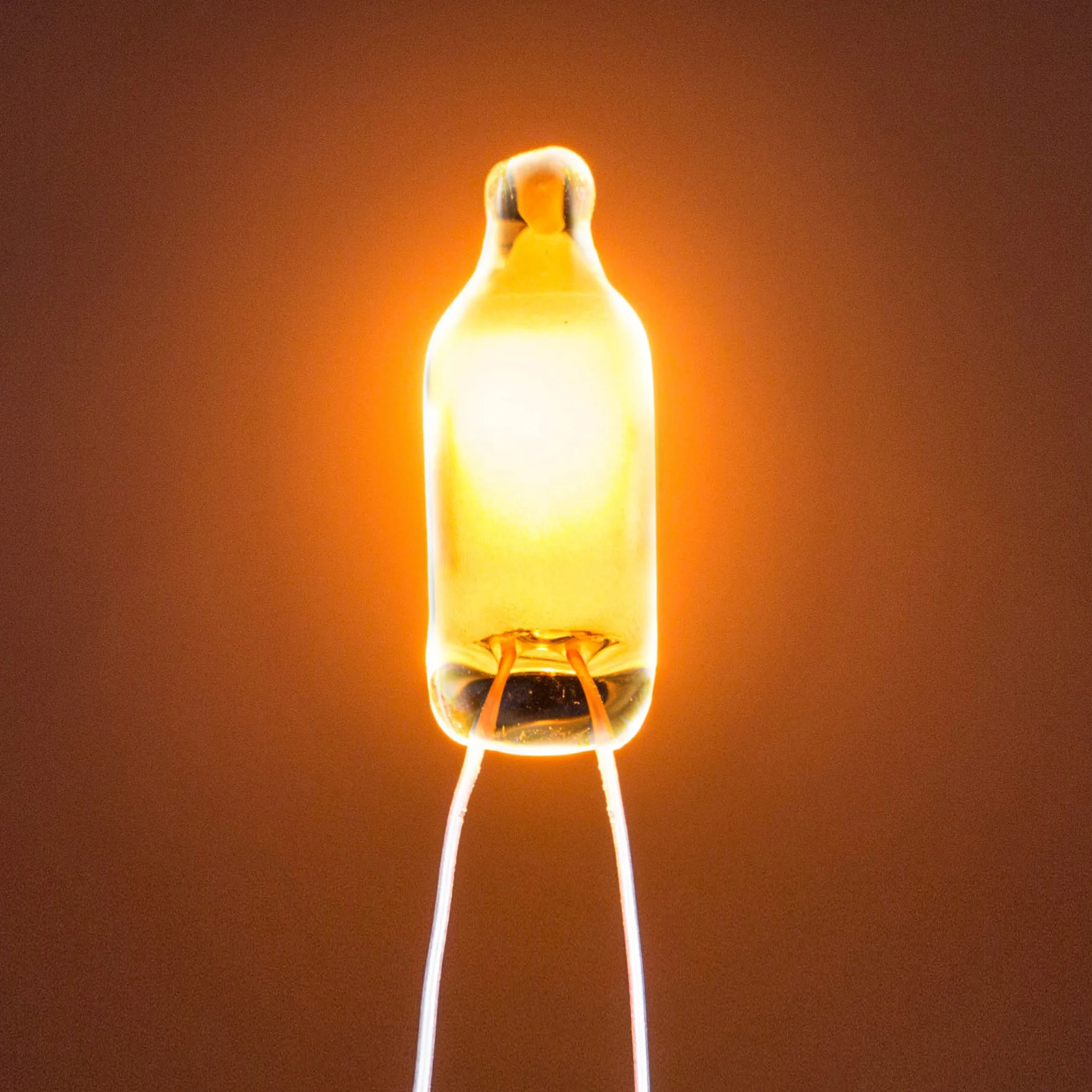 neon lamps neon bulbs neon tubes 110V/220V AC for switch, socket