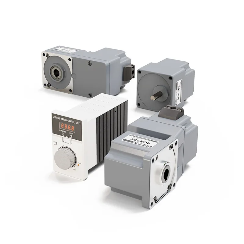 24V 48V 110V 220V High Torque BLDC Brushless DC Electric Gear Motor For Access Control System