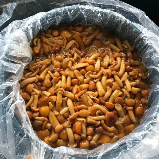 Часто задаваемые вопросы nameko в барабане/варенный гриб nameko/nameko