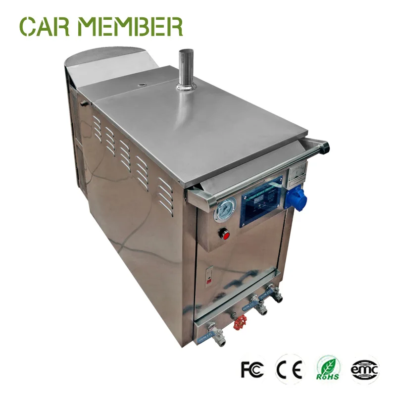 Powerful Waterless LPG Electrical Heating Double Guns Mobile Steam Car Wash Machine For Commercial Use Steamer Car Washer