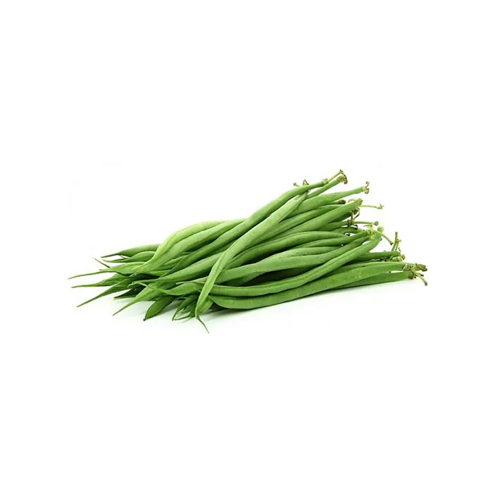 Wholesale fresh healthy vegetable tasty string beans green beans price
