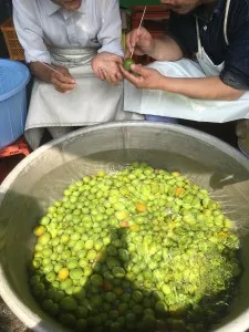 Japanese Mild Soft Flavor Sweet Fruit Mirin Rice Wine For Drinking