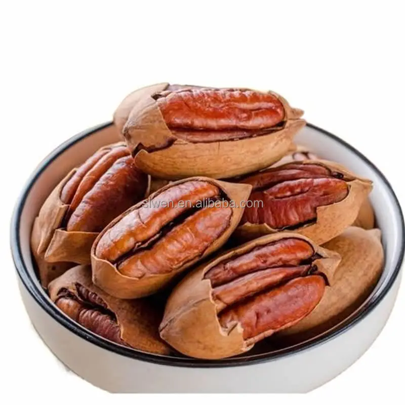 Good price high quality raw roasted Pecan kernel pecan nut