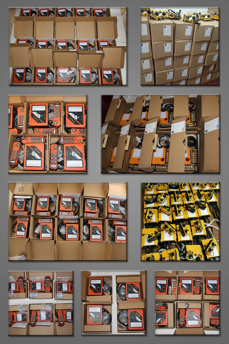 Crane Radio Remote Control F21-16S Wireless Electric Hoist Remote Controls Telecrane