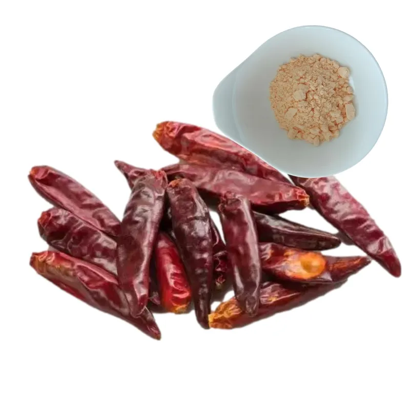 Chili Pepper  Spices red chilli powder price food grade red Pepper extract powder