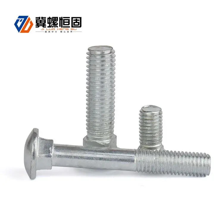 China OEM Stainless Steel Door Hardware Carriage Bolt screws