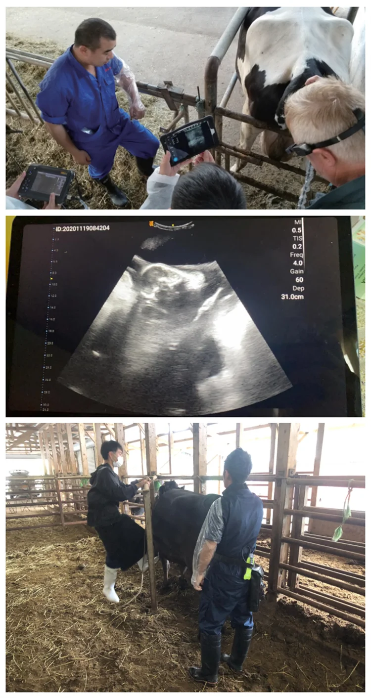 customer feedback.png