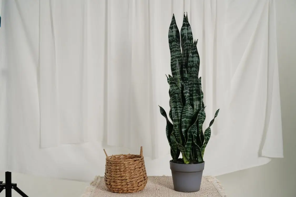 Hourpark Factory Anti-UV Waterproof Outdoor Agave Bonsai Sets Artificial Plants For Decoration