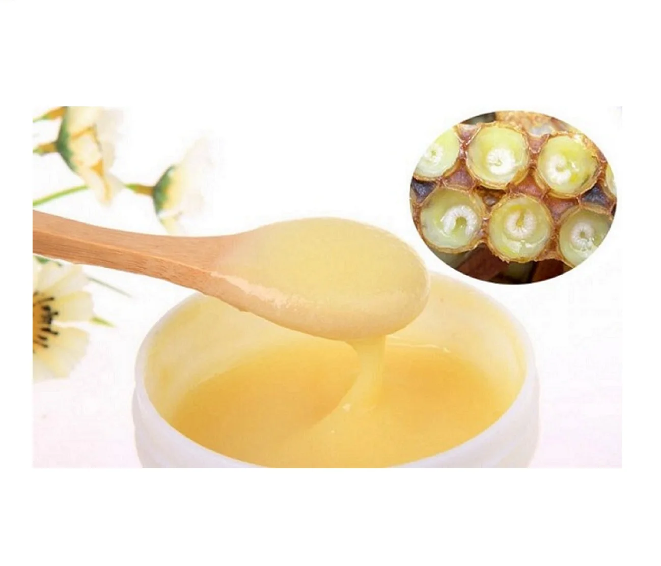 Wholesale 2022 Best Anti aging  product Healthy Care Royal Jelly Vietnam Origin Bee Product For A Better Health
