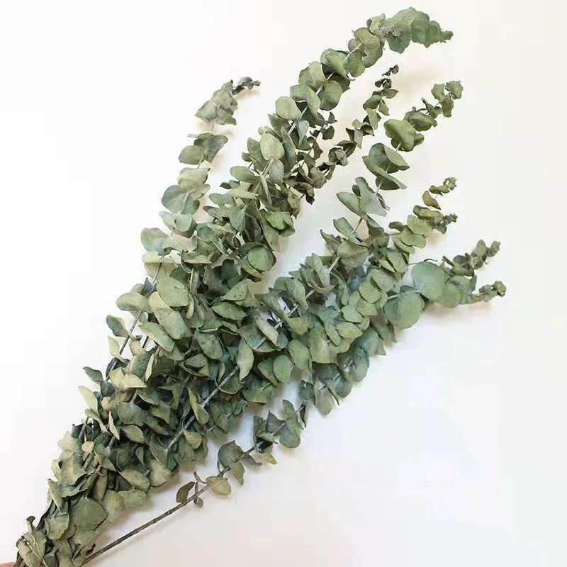 Yunnan оптовая продажа сушеные листья эвкалипта сухие листва для домашнего декора цветы вазы