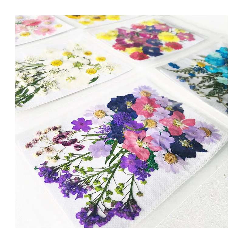 
Promotional Sets Dried Flower Embossing Wholesale Dried Flower Nail PatchIns Popular Press Flowers 