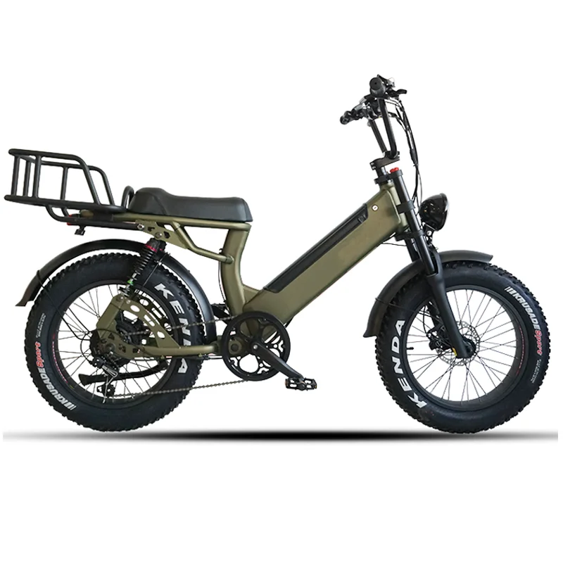 ANLOCHI 2022 New Style Cheap Price Cargo Bike 20*4.0' Alloy 2 Wheel Electric Cargo Bike With Full Suspension Fork
