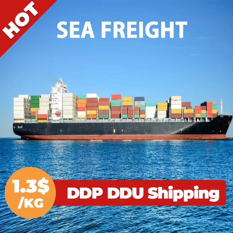 Cheapest FCL LCL Sea freight shipping agent from China to Port Germany Netherlands