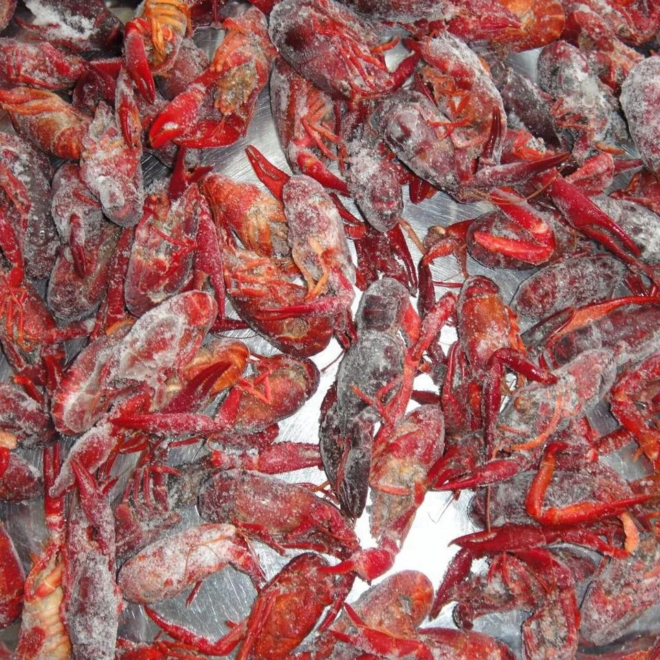 Frozen Whole Crawfish Packaged in Bulk Lobster Product Genre for Sale