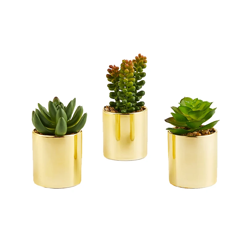 PRIMAISON Artificial small succulents Plants with golden pot Decorative Faux Plastic Plants  Indoors and Outdoor Decoration