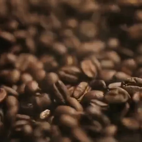  Жареные кофе-бобы ROBUSTA приготовление чашки кофе домашний бренд ANTHAICAFE из