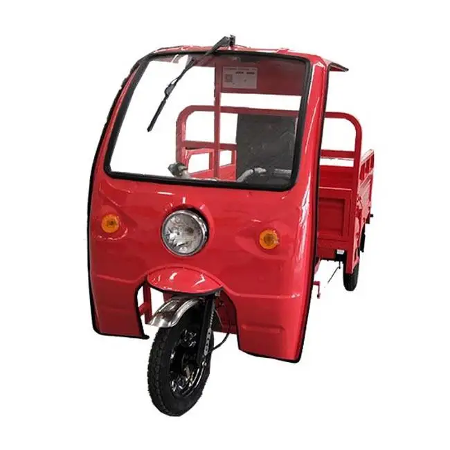 Electric tricycle with canopy 2024 new model sold by Chinese factory at low price