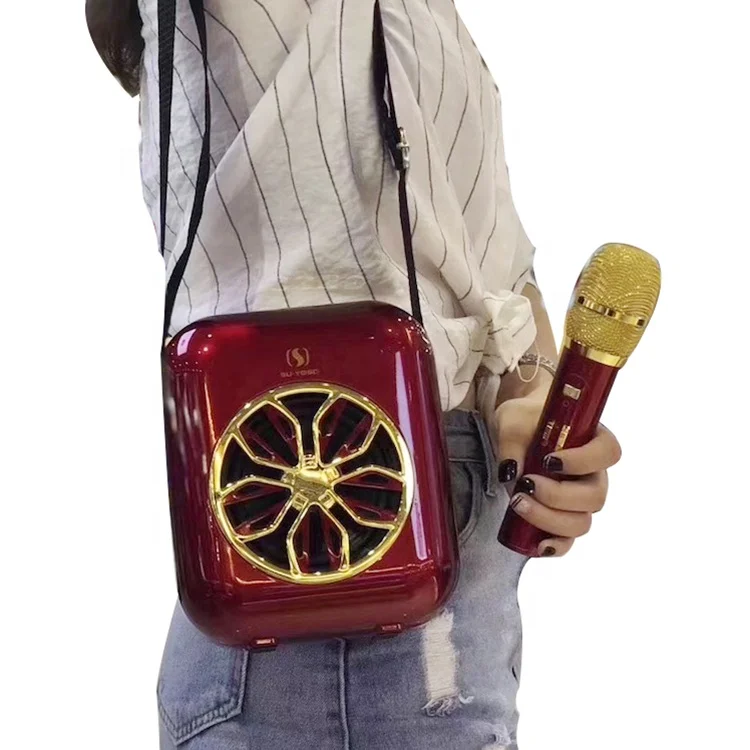 BT Speaker YS-A20 with Wireless Microphone 10-watt Outdoor Portable Small Speaker