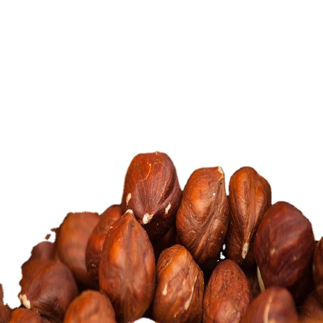 Top Grade Turkish Hazelnt Naturel Raw Dried without Shell 14-16 mm Vacuumed Package