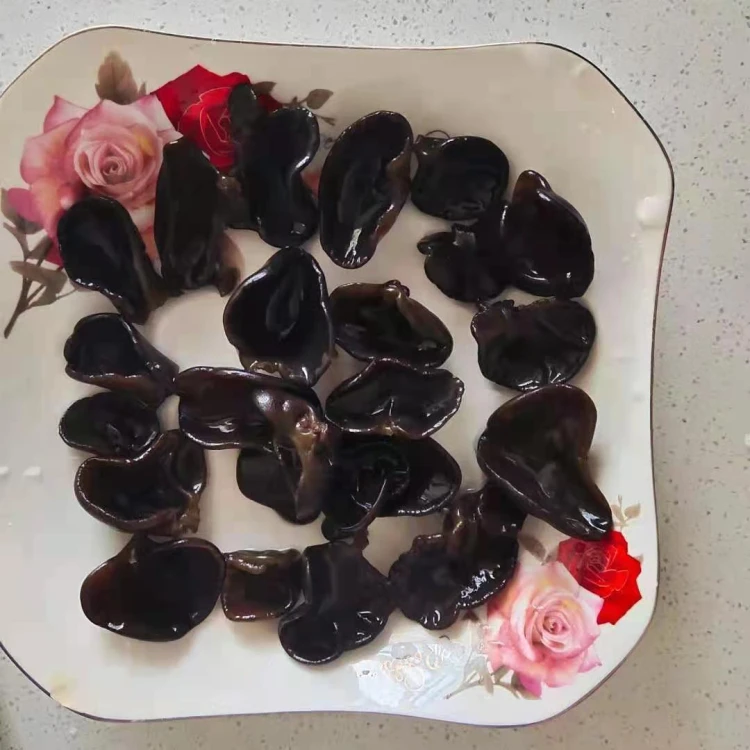 Fresh White-backed Black Fungus/Agaric for Mushroom Buyers