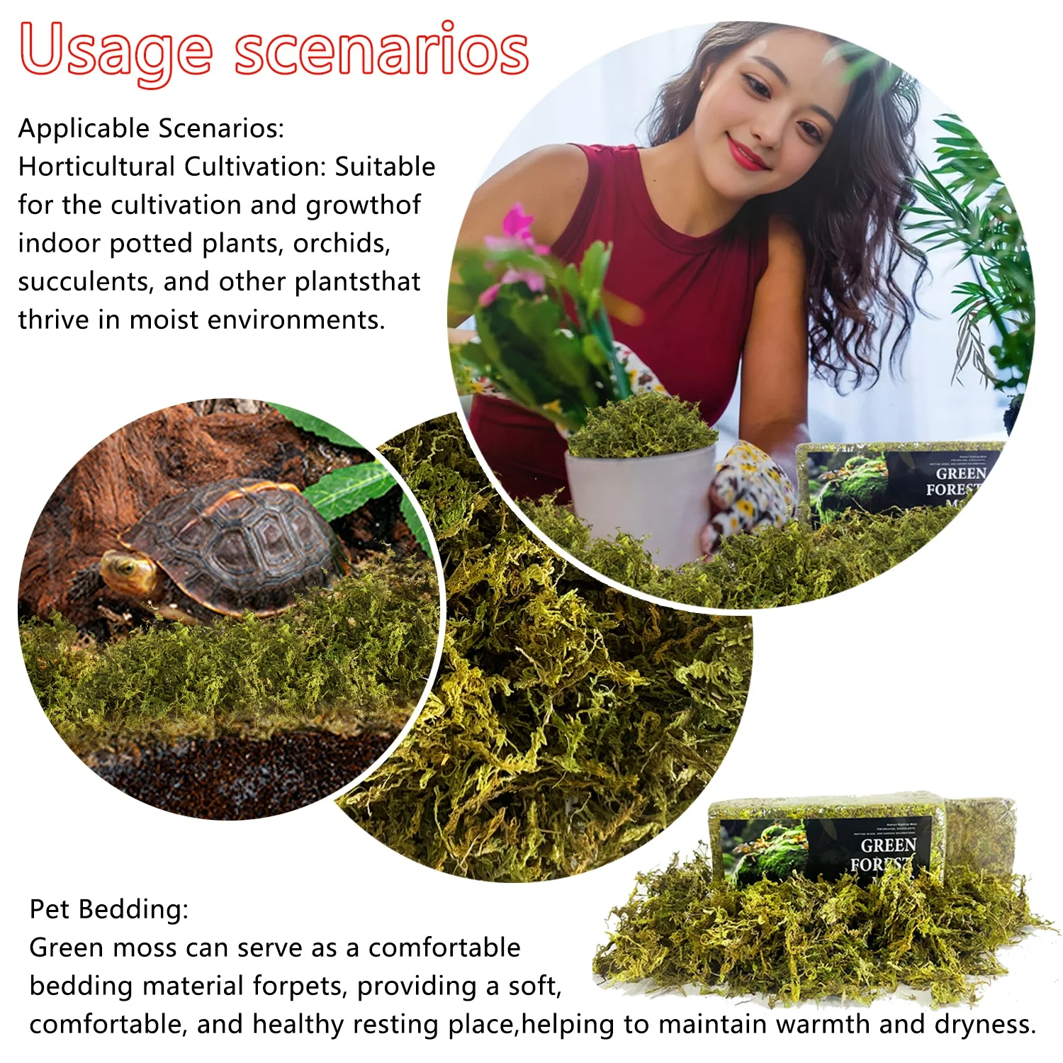 Wholesale Eco-Friendly Premium Natural Dried Green Sphagnum Moss Long Fiber Green Forest Moss For Reptile Plants