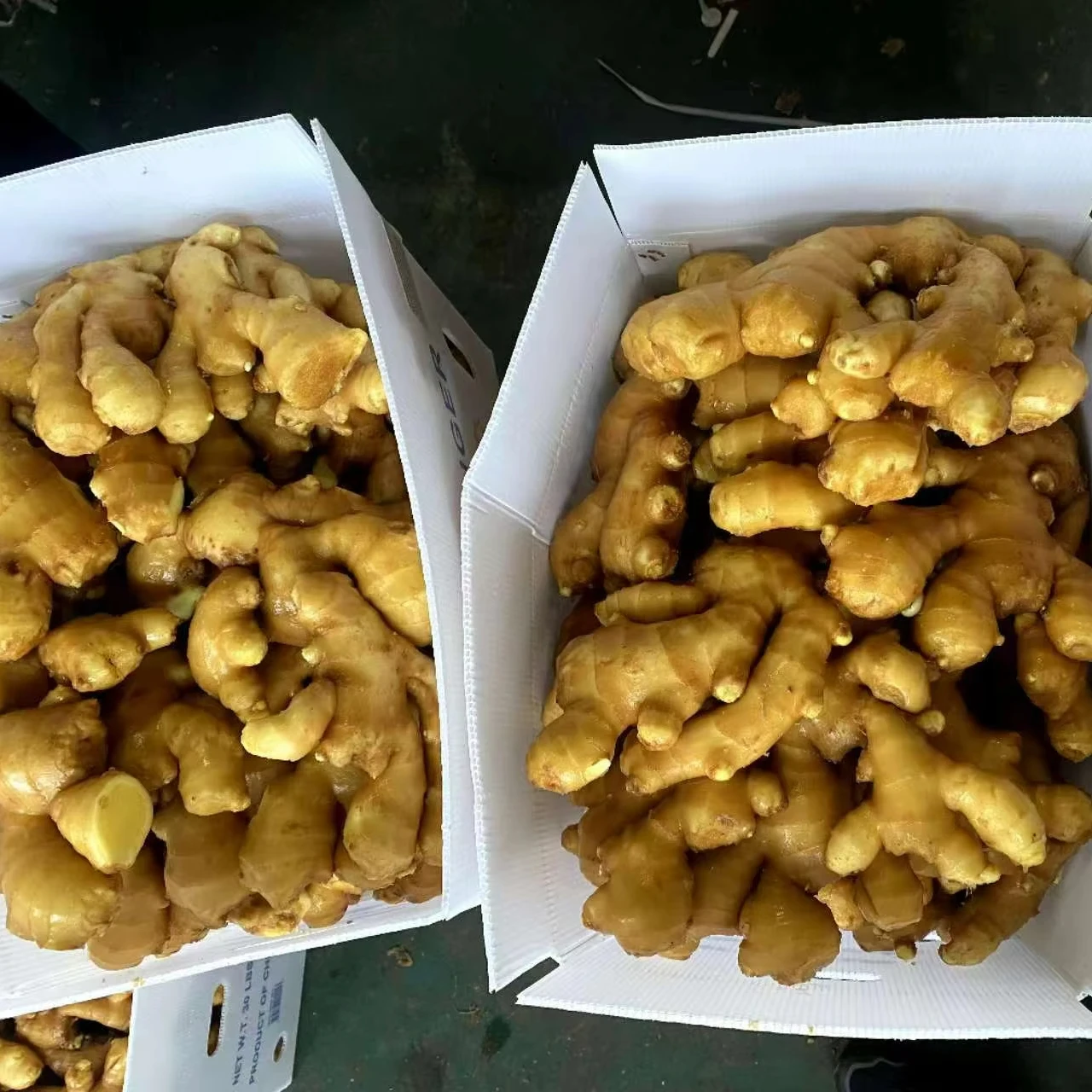Organic Ginger USDA certification Dried Ginger Supplier Fresh Ginger Pvc Carton Packaging For Wholesale