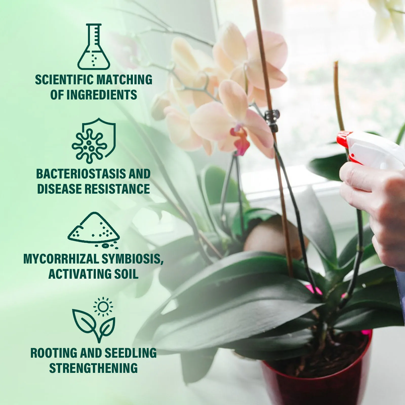 plant nutrient solution succulent fruit tree fertilizer orchid flower leaf fertilizer Hydroponic green plant pot liquid fertili