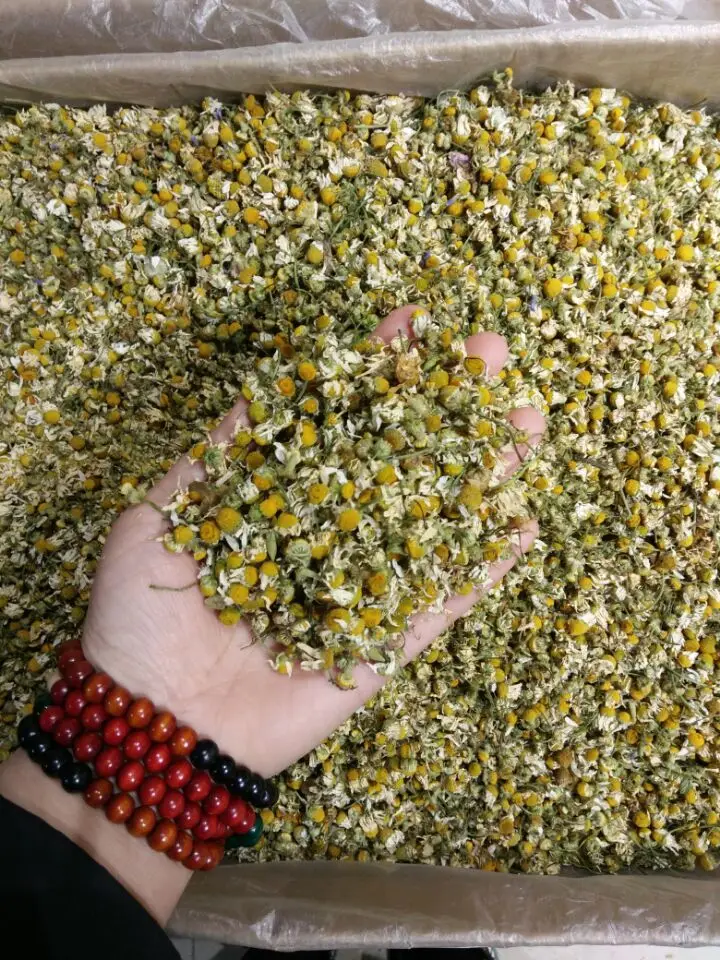  Оптовая продажа травяной чай сушеные цветы ромашки бутон вкусный органический частная торговая
