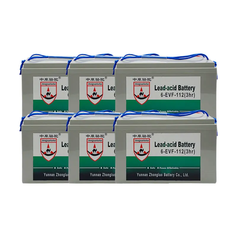 Hot Selling Wholesale 48 Volt batterie 50ah 100ah 110ah 160ah Lead acid Battery 48V 110Ah Golf Cart Batteries