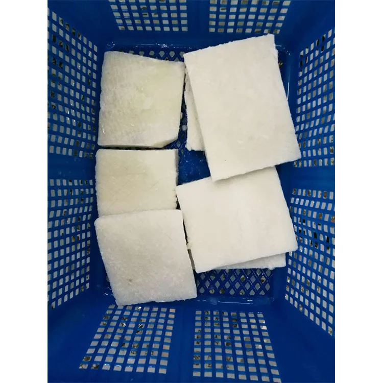 Frozen Squid Fillet Giant Squid Meat Indian Ocean Squid Fillet