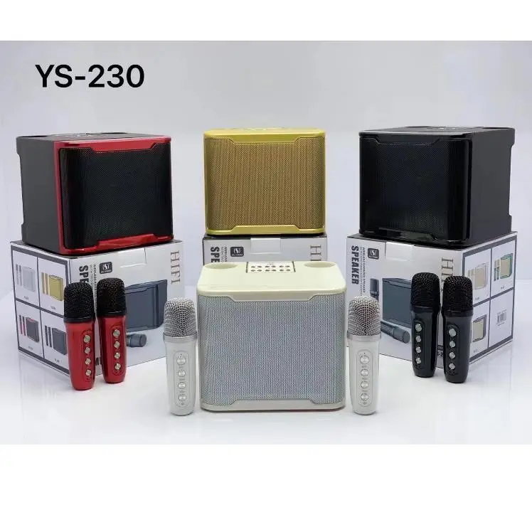 YS230 New Cheap 4ohm 10w Dual MIC Vocal Cut Tone Change Rechargeable Blue Tooth Home Party 2022 Powerful Bass Karaoke Speaker