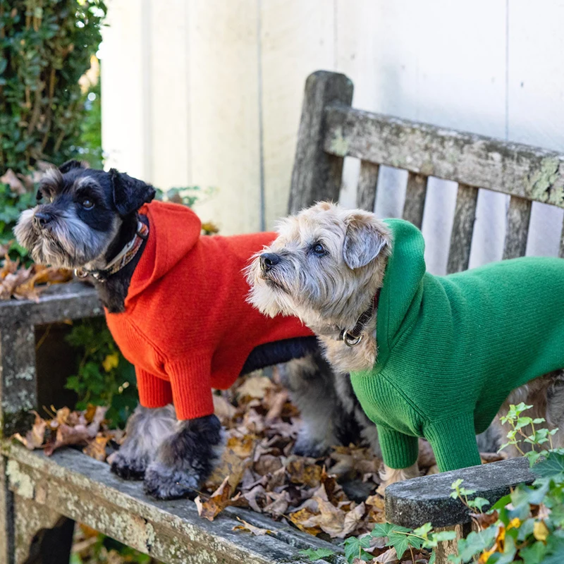 Fashion Free Knitting Pattern For Pet Dog Sweater Clothes
